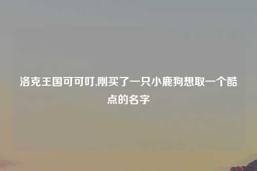 洛克王国可可叮,刚买了一只小鹿狗想取一个酷点的名字