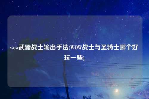 wow武器战士输出手法(WOW战士与圣骑士哪个好玩一些)
