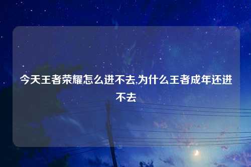 今天王者荣耀怎么进不去,为什么王者成年还进不去