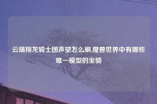 云端翔龙骑士团声望怎么刷,魔兽世界中有哪些唯一模型的坐骑