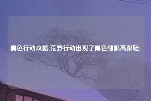 黑色行动攻略(荒野行动出现了黑色细跟高跟鞋)