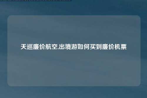 天巡廉价航空,出境游如何买到廉价机票