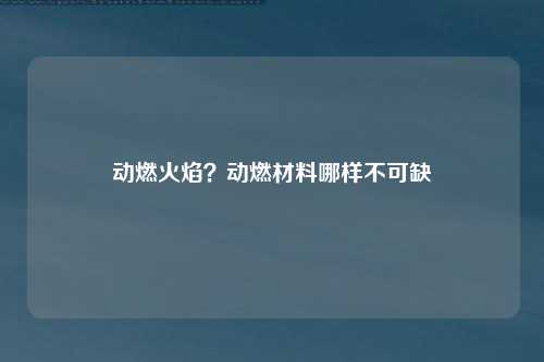 动燃火焰？动燃材料哪样不可缺