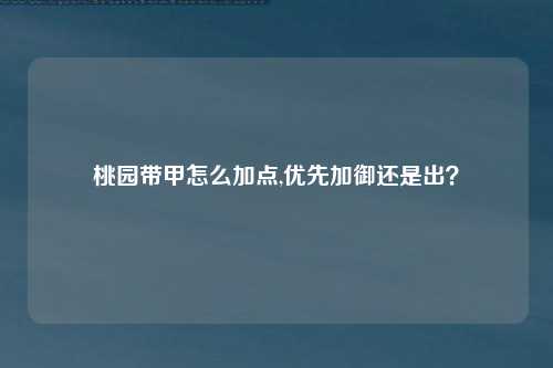 桃园带甲怎么加点,优先加御还是出？