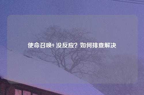 使命召唤9 没反应？如何排查解决