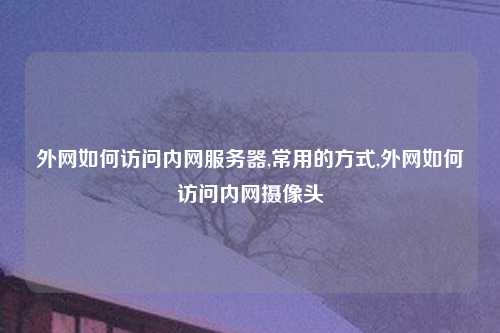 外网如何访问内网服务器,常用的方式,外网如何访问内网摄像头