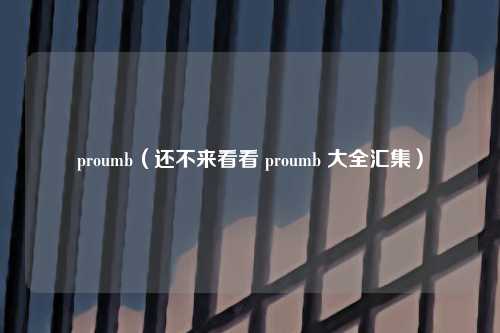 proumb（还不来看看 proumb 大全汇集）