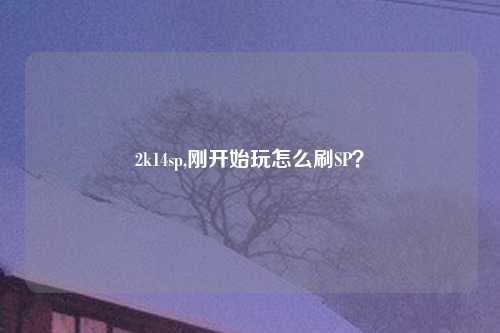 2k14sp,刚开始玩怎么刷SP？