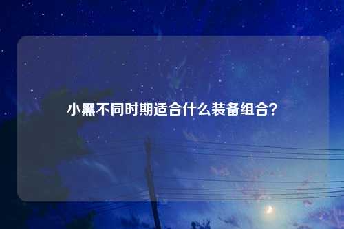 小黑不同时期适合什么装备组合？