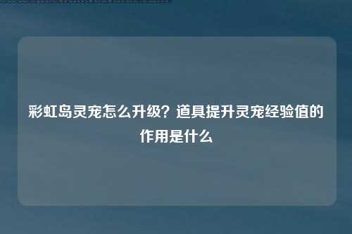 彩虹岛灵宠怎么升级？道具提升灵宠经验值的作用是什么