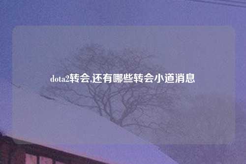 dota2转会,还有哪些转会小道消息