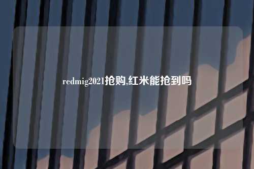 redmig2021抢购,红米能抢到吗