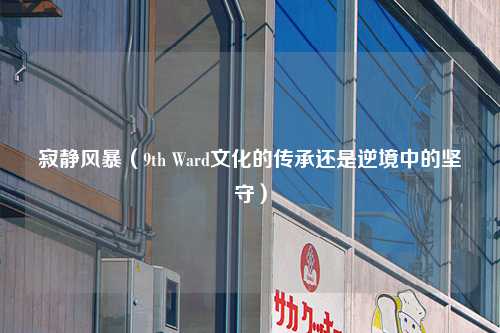 寂静风暴（9th Ward文化的传承还是逆境中的坚守）