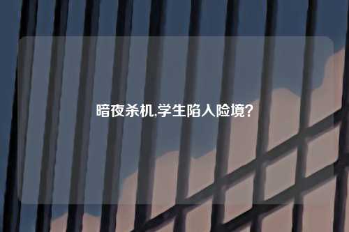 暗夜杀机,学生陷入险境？