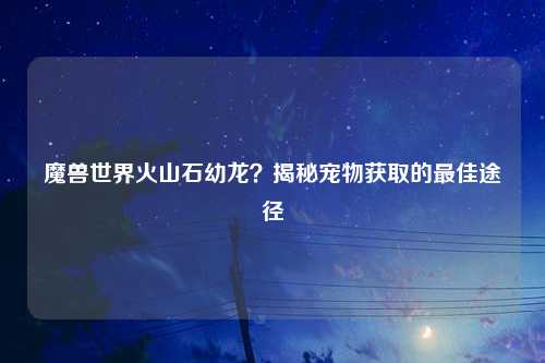 魔兽世界火山石幼龙？揭秘宠物获取的最佳途径