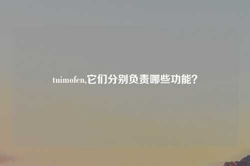 tuimofen,它们分别负责哪些功能？