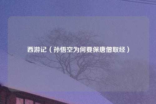 西游记（孙悟空为何要保唐僧取经）