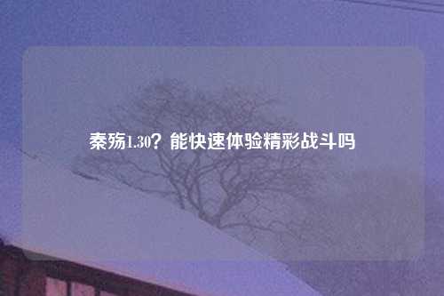 秦殇1.30？能快速体验精彩战斗吗