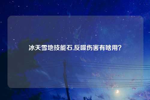 冰天雪地技能石,反噬伤害有啥用？