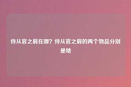 侍从官之肩在哪？侍从官之肩的两个物品分别是啥