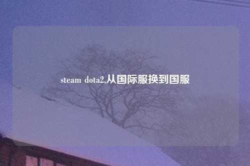 steam dota2,从国际服换到国服