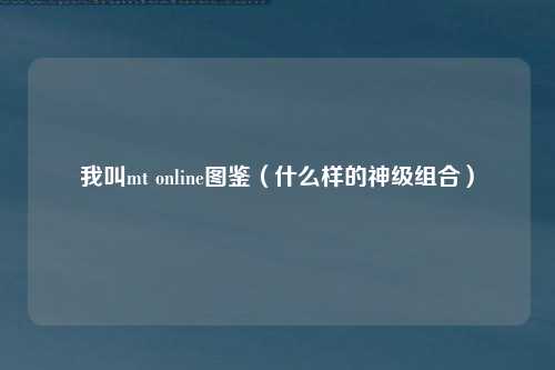 我叫mt online图鉴（什么样的神级组合）
