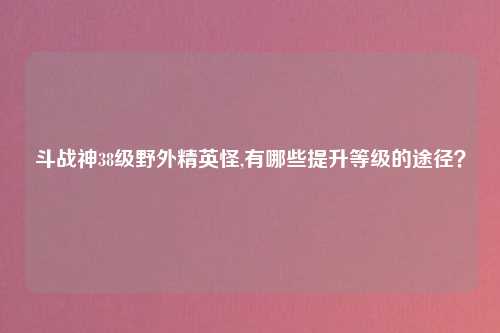 斗战神38级野外精英怪,有哪些提升等级的途径？