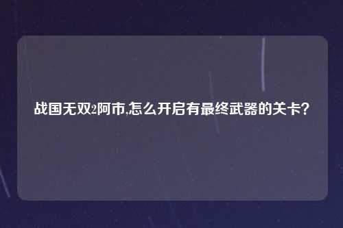 战国无双2阿市,怎么开启有最终武器的关卡？