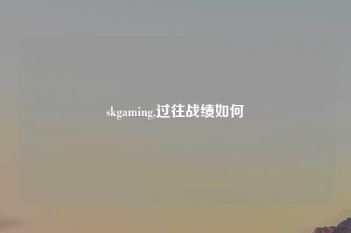 skgaming,过往战绩如何