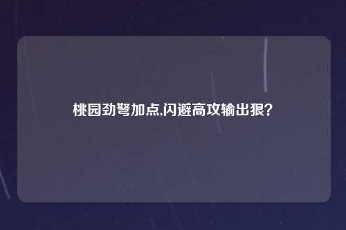 桃园劲弩加点,闪避高攻输出狠？