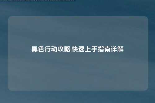 黑色行动攻略,快速上手指南详解