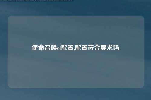 使命召唤ol配置,配置符合要求吗