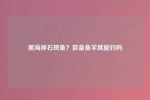 黑海岸石斑鱼？装备鱼竿就能钓吗