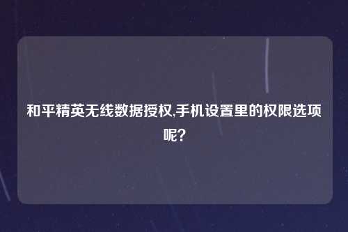 和平精英无线数据授权,手机设置里的权限选项呢？