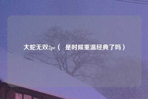 大蛇无双2pc（  是时候重温经典了吗）