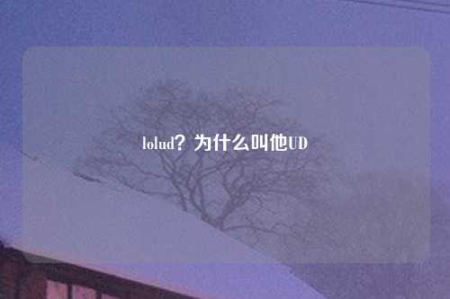lolud？为什么叫他UD