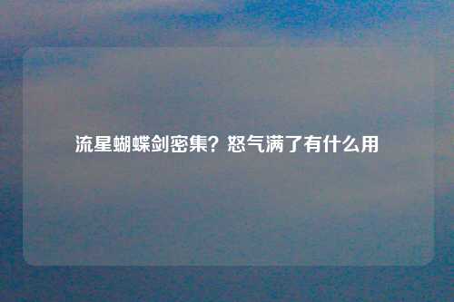 流星蝴蝶剑密集？怒气满了有什么用
