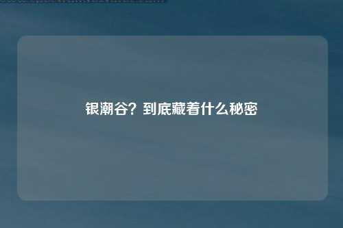 银潮谷？到底藏着什么秘密
