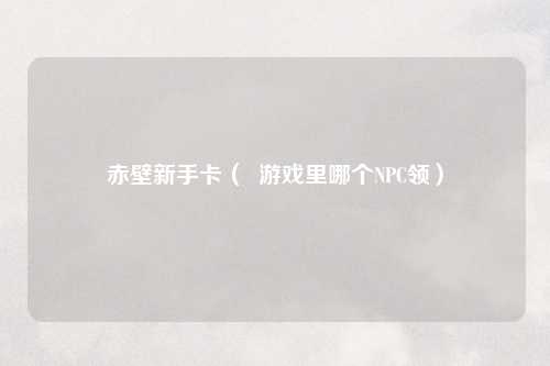 赤壁新手卡（  游戏里哪个NPC领）
