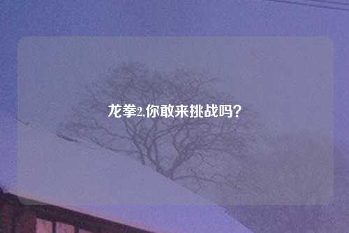 龙拳2,你敢来挑战吗？