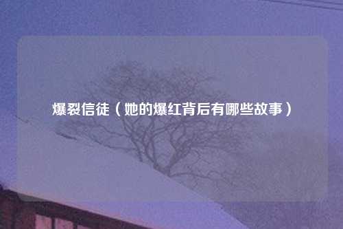 爆裂信徒（她的爆红背后有哪些故事）