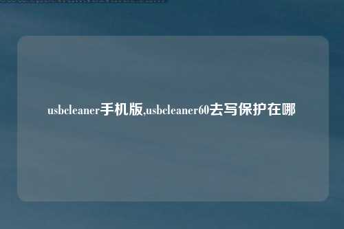 usbcleaner手机版,usbcleaner60去写保护在哪