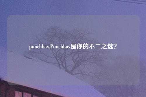 punchbox,Punchbox是你的不二之选？