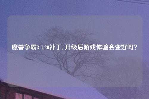 魔兽争霸3 1.20补丁, 升级后游戏体验会变好吗？