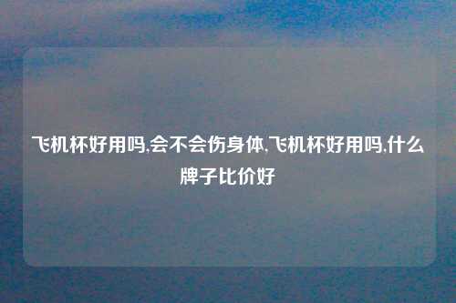 飞机杯好用吗,会不会伤身体,飞机杯好用吗,什么牌子比价好