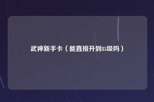 武神新手卡（能直接升到85级吗）