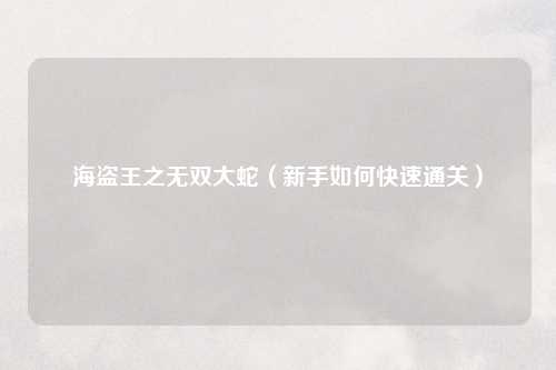 海盗王之无双大蛇（新手如何快速通关）