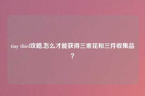 tiny thief攻略,怎么才能获得三束花和三件收集品？