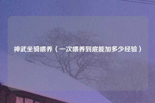 神武坐骑喂养（一次喂养到底能加多少经验）