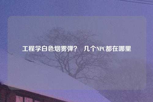 工程学白色烟雾弹？  几个NPC都在哪里